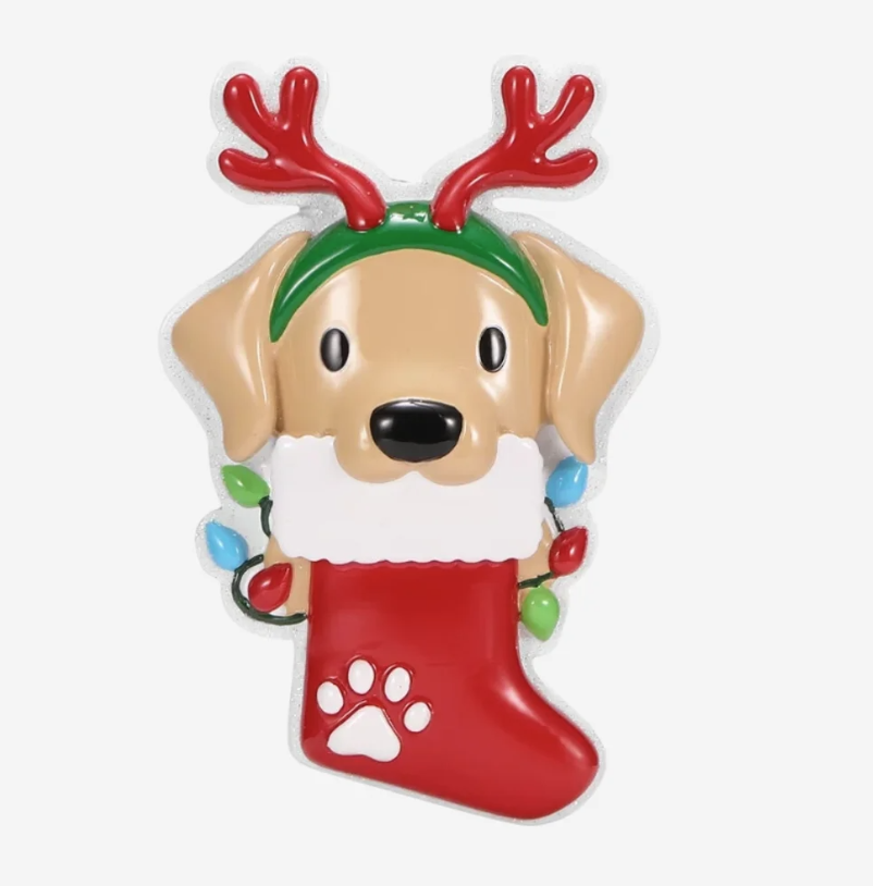 Dog with Reindeer Antlers