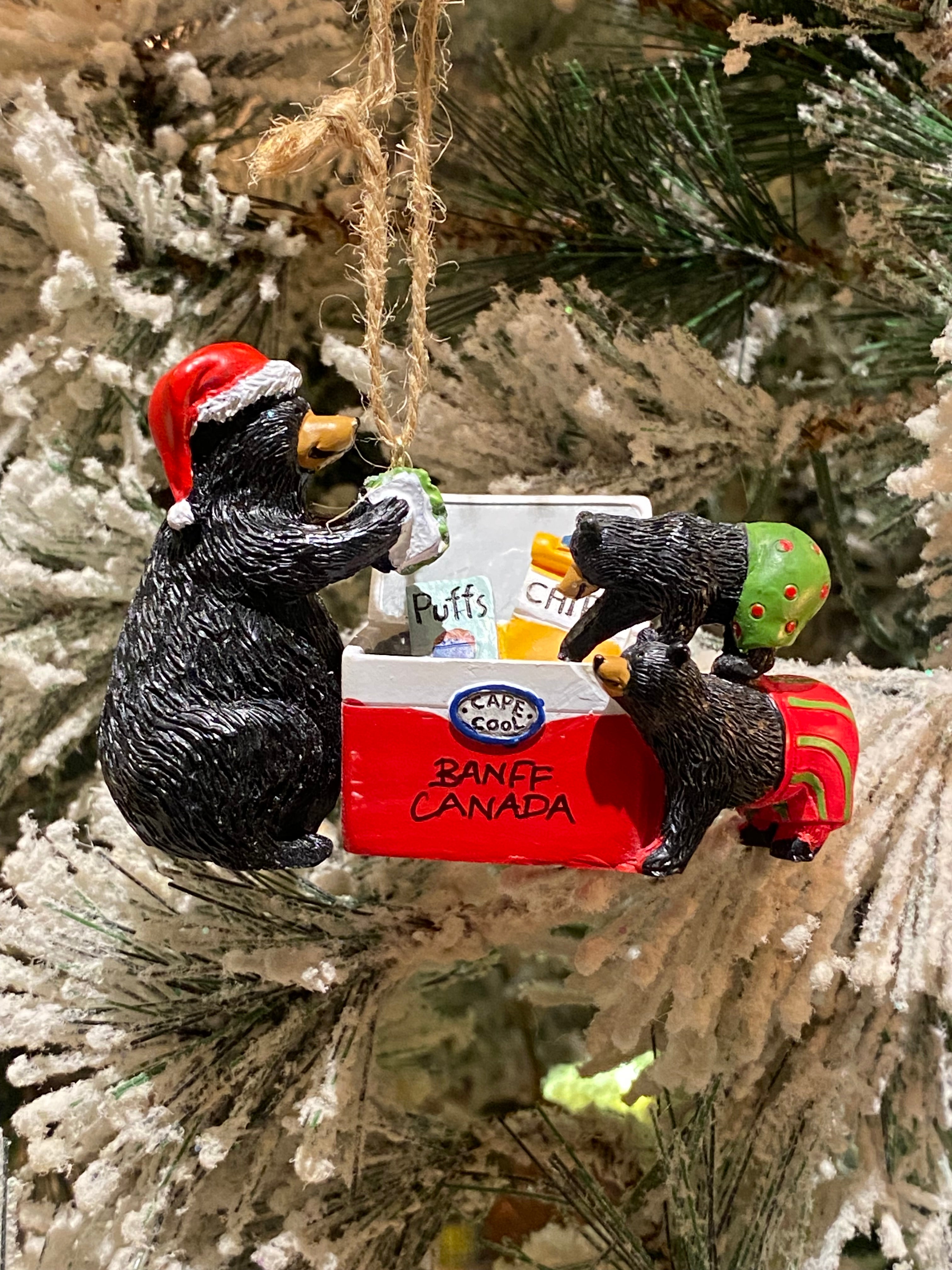 Cooler Raiding Black Bear