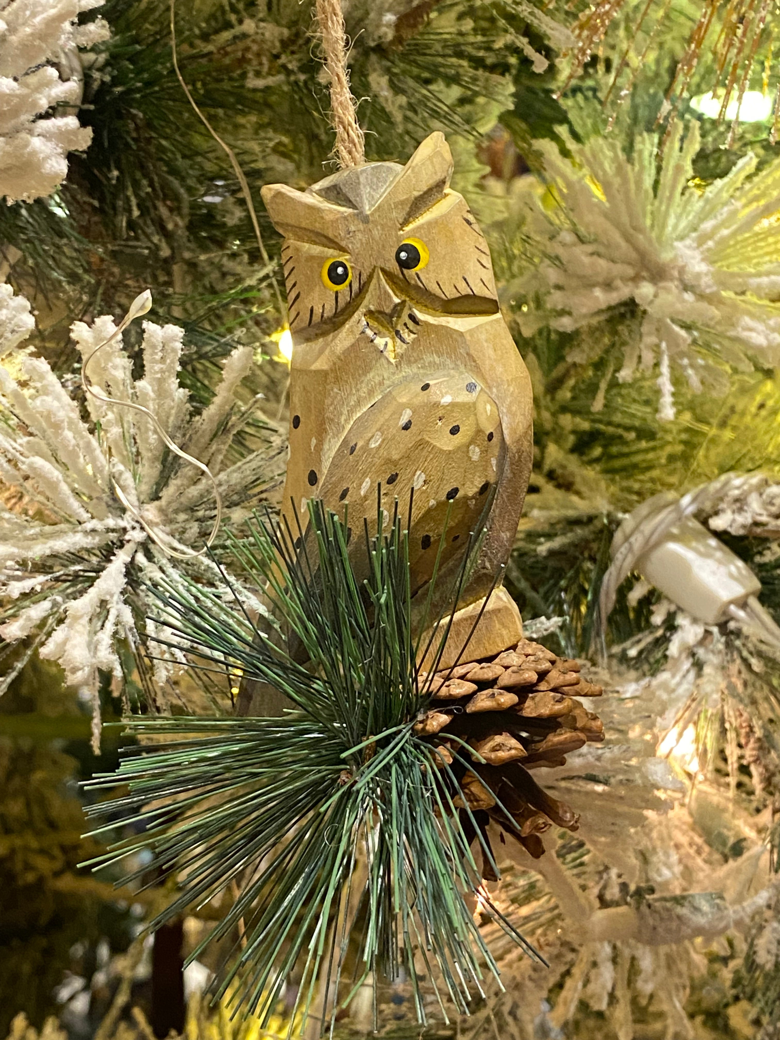 Owl on Pine