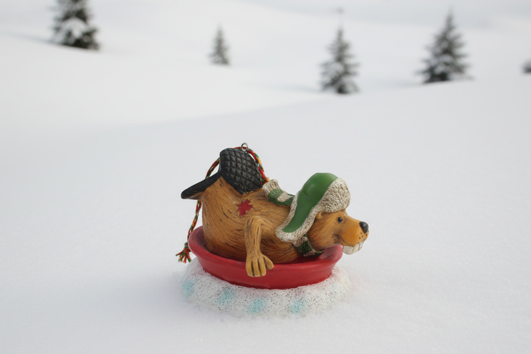 Buddy The Beaver Tobogganing Ornament