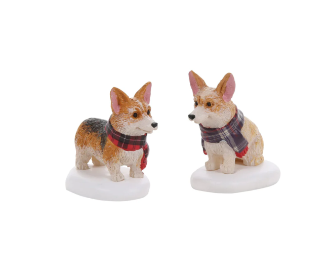 Highland Corgi's S/2