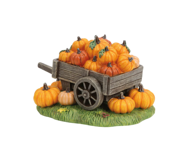 Hey There Pumpkin!