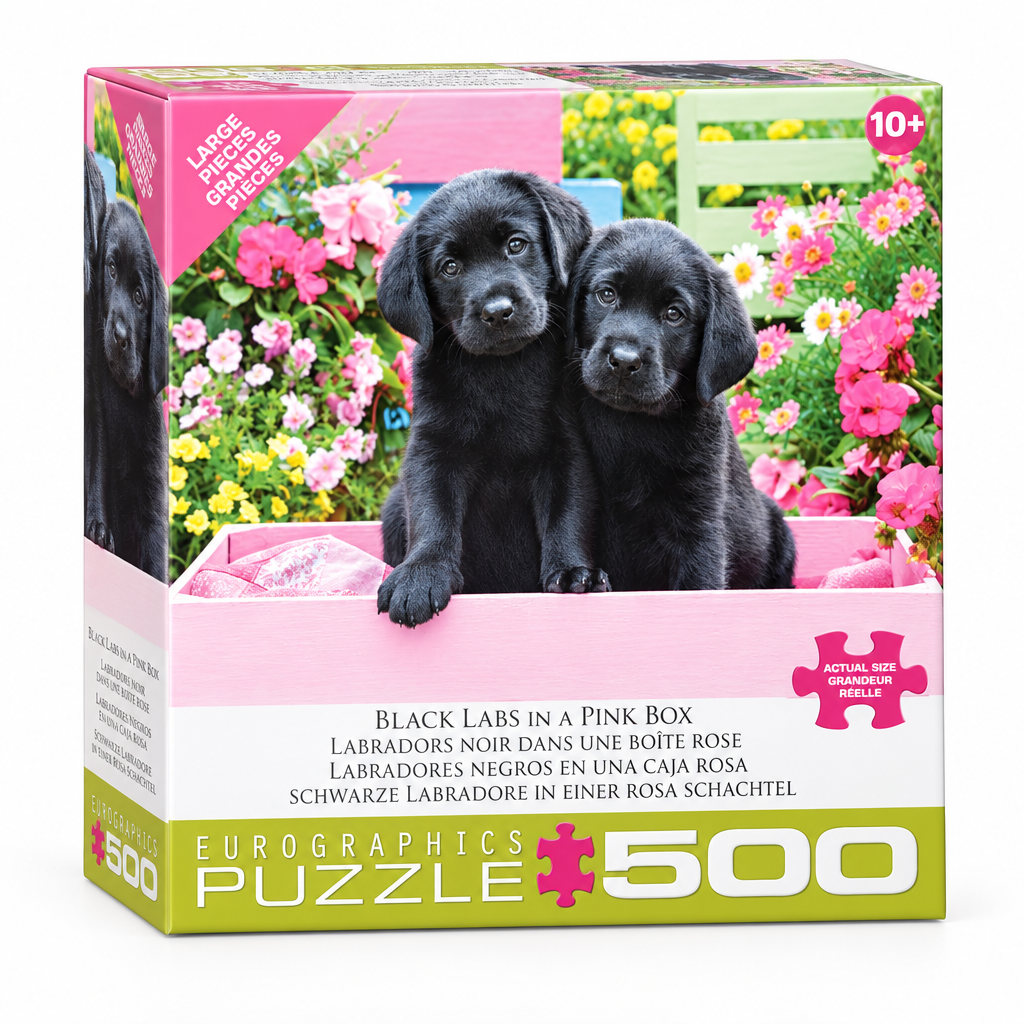 Black Labs in a Pink Box