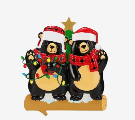 Bears with Scarf & Santa Hat Family of 2