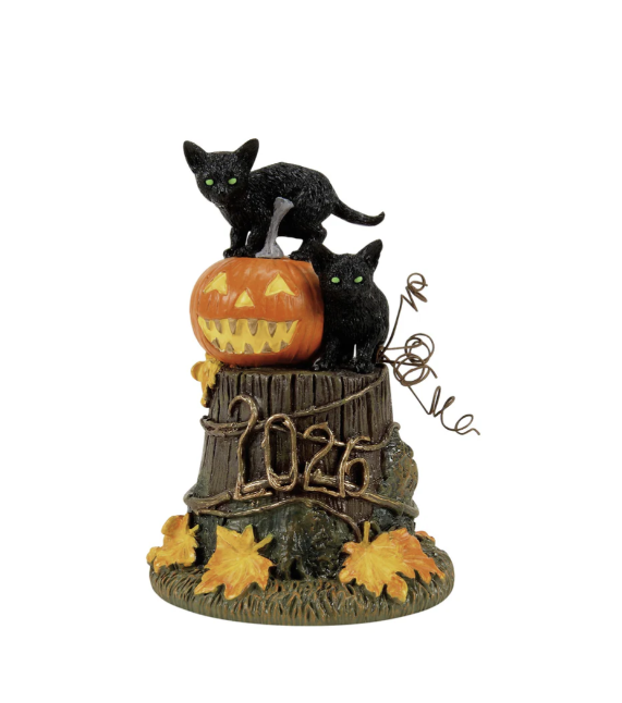 50th Feline Noir, 2026