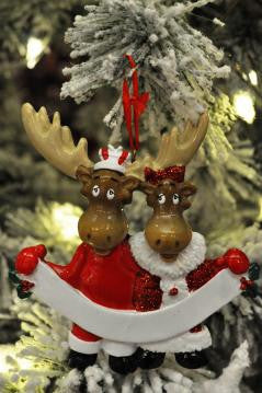 Moose Couple Personalized Ornament