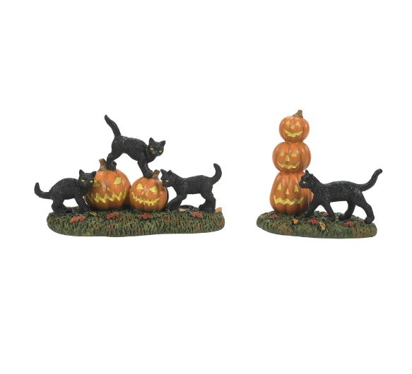 Scary Cats Pumpkins Set of 2