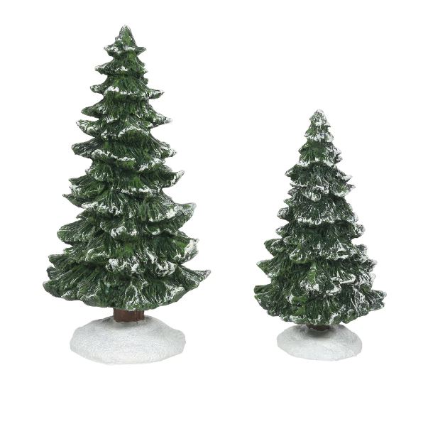 Christmas Spruces Set of 2