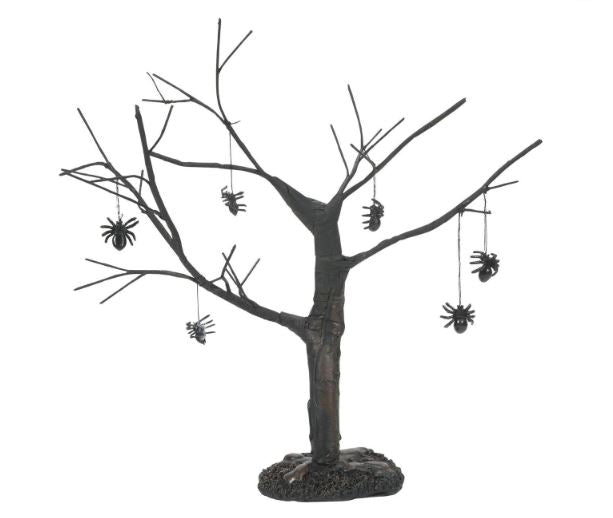 Spider Tree