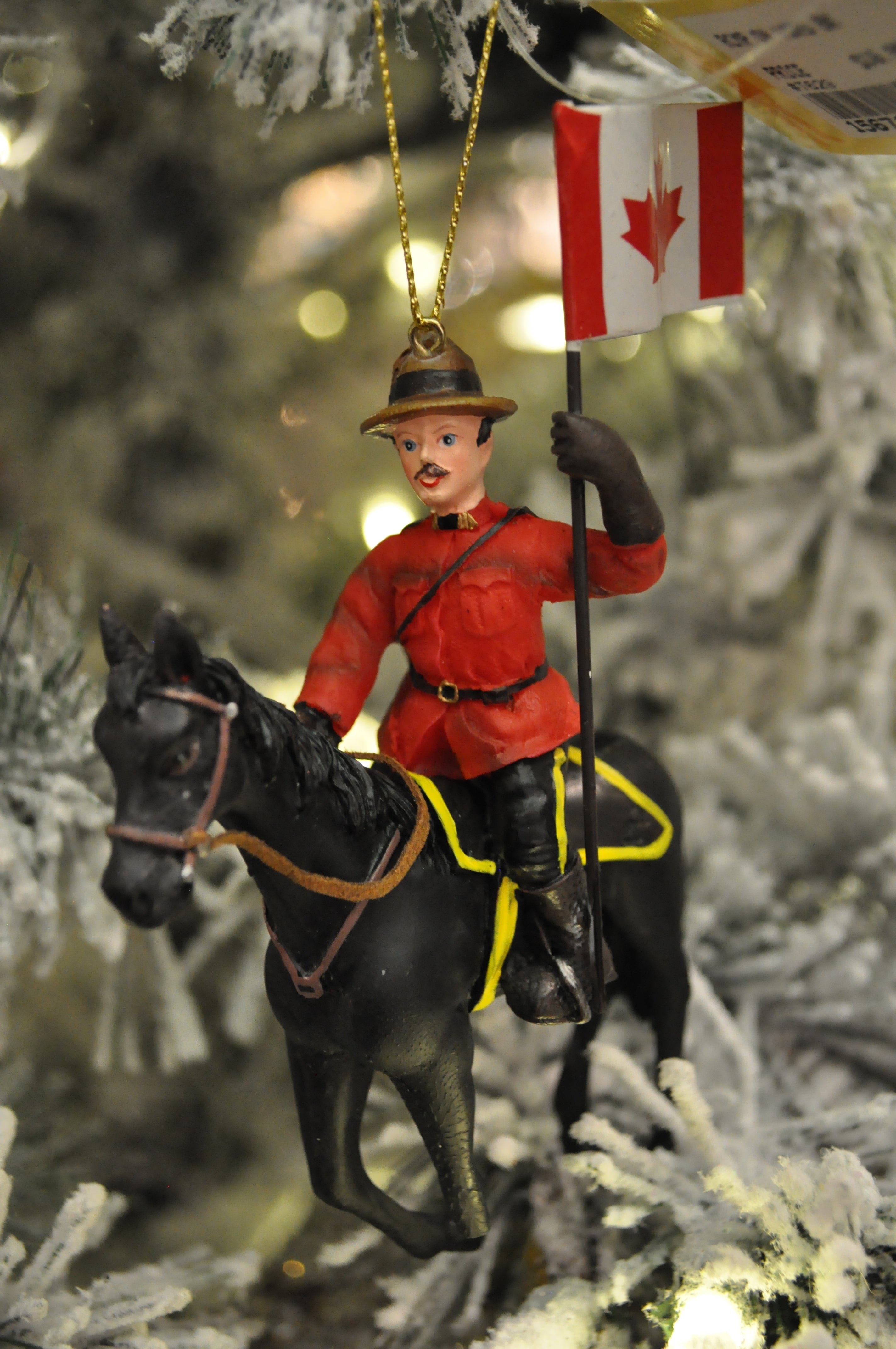 RCMP on Horse