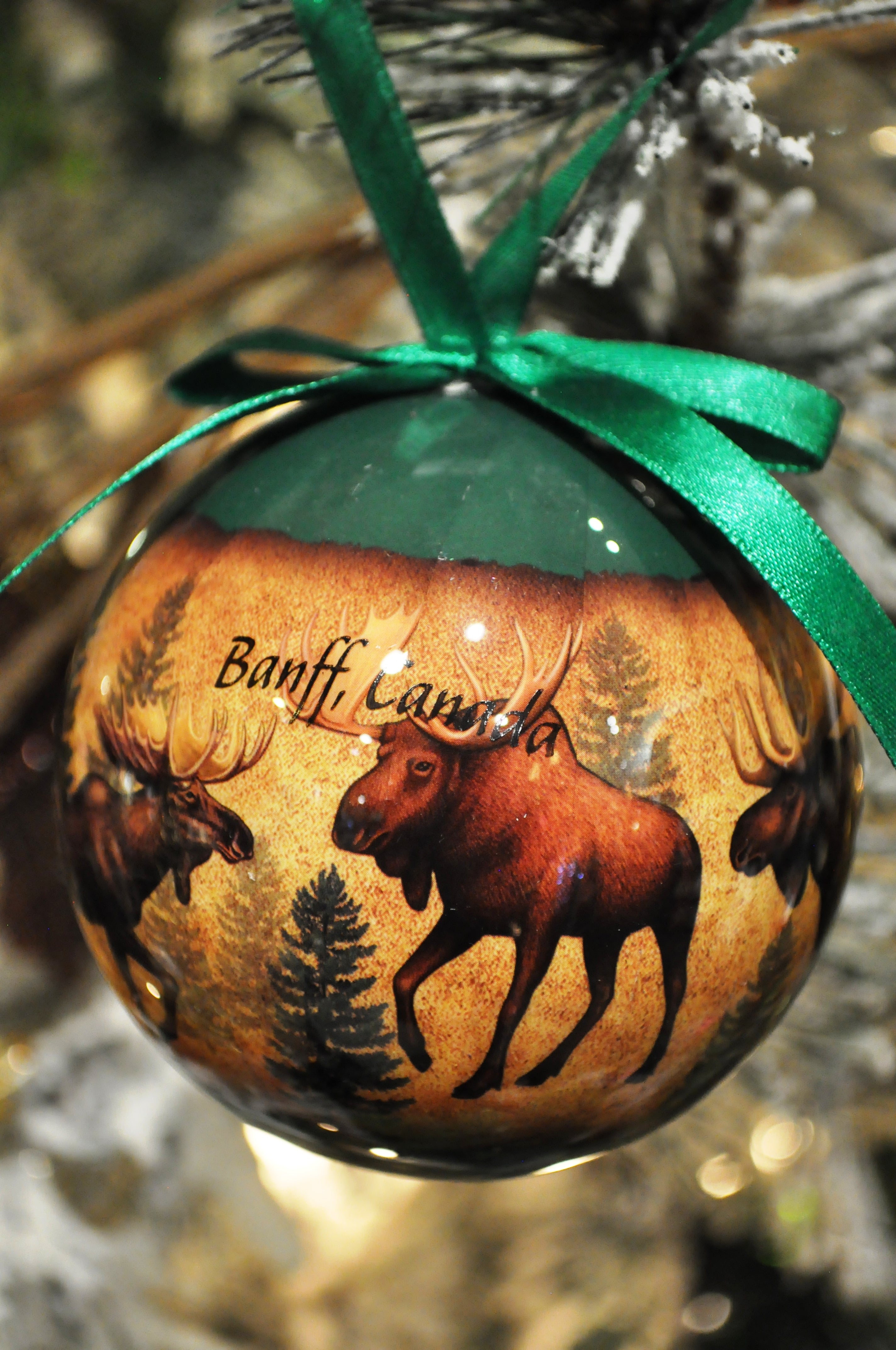 Moose Collage Ornament