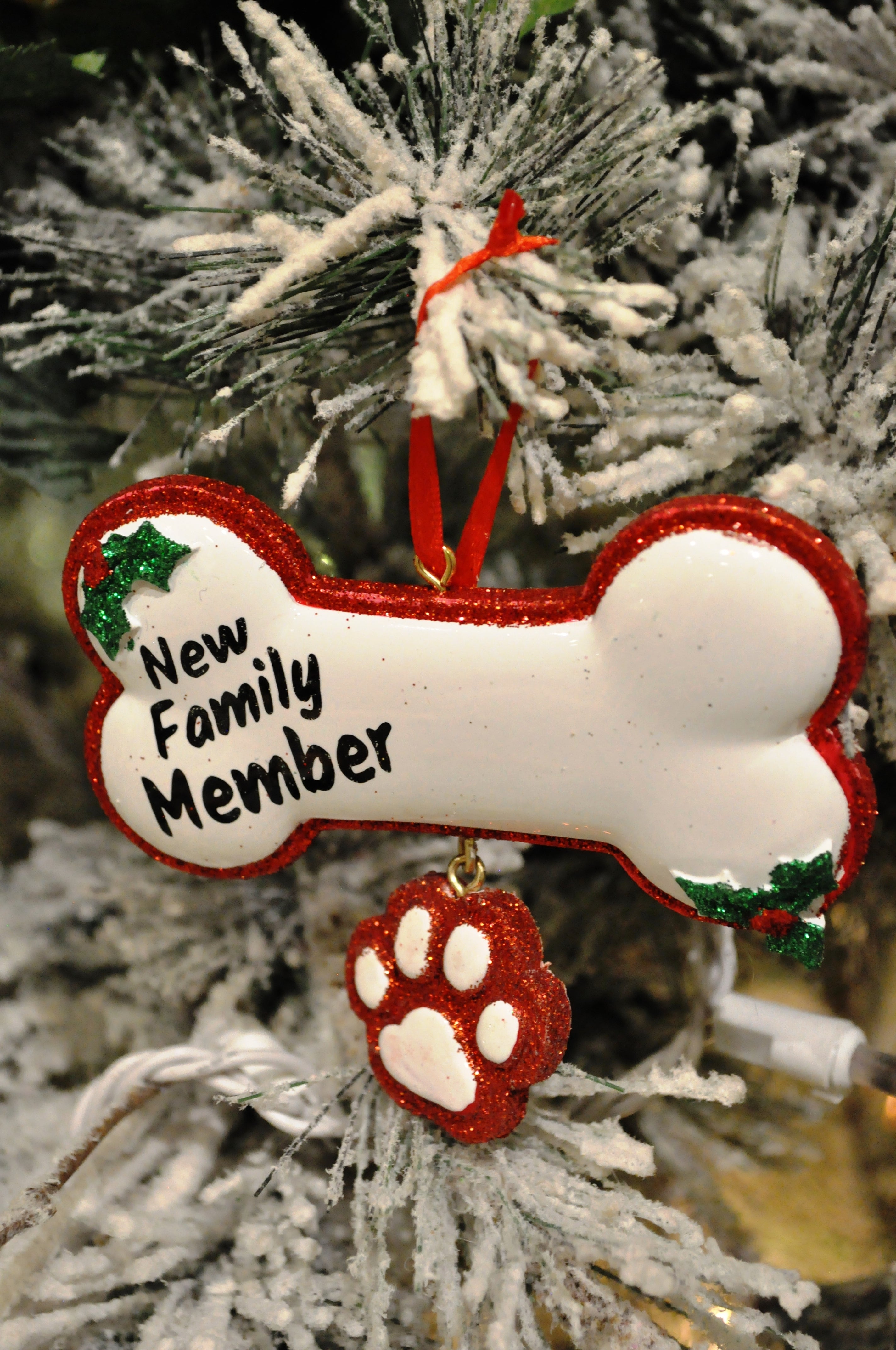 New Family Member Bone