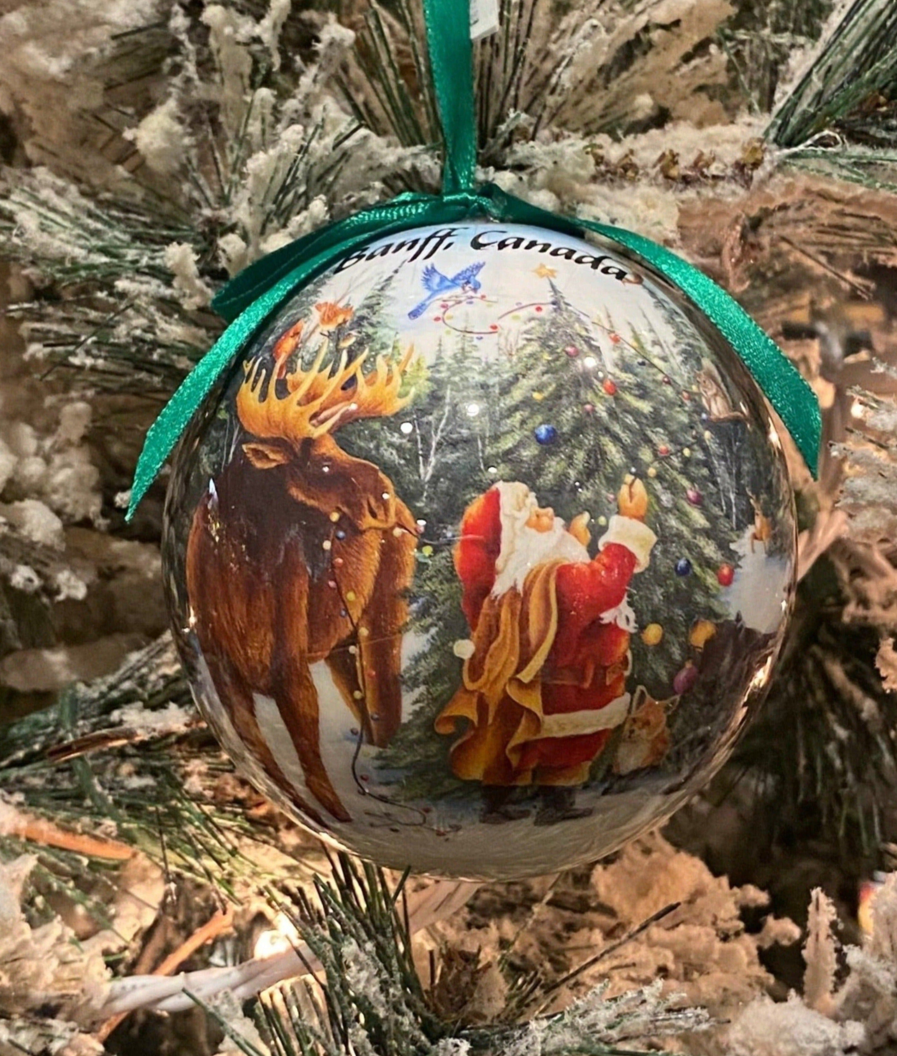 Santa Ball With Animals