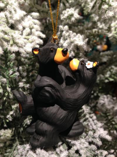 Bear Couple