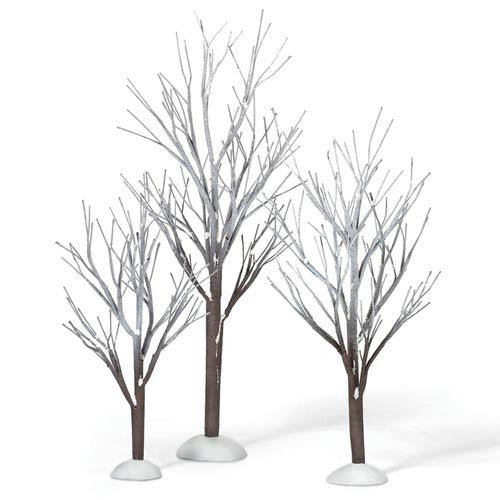 First frost trees department 56